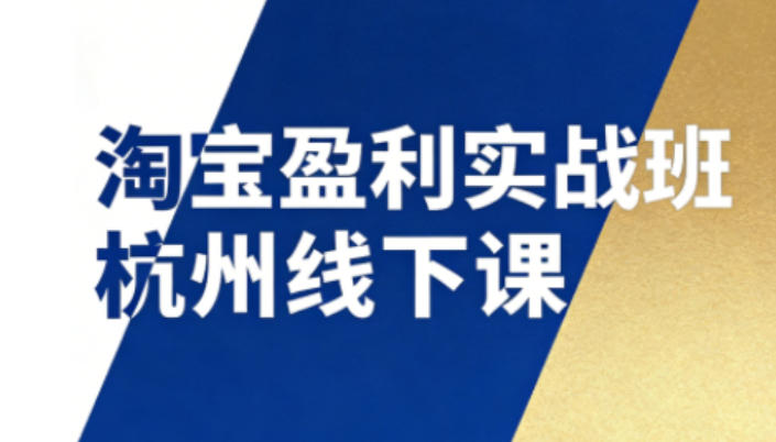 淘宝盈利实战班杭州线下课12月26-28日(音频+字幕),帮你掌握SOP流程+12门核心技术-界海网创