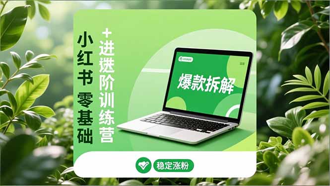 小红书零基础+高阶训练营:安全养号、爆款拆解、长效运营,实现稳定涨粉与变现-界海网创