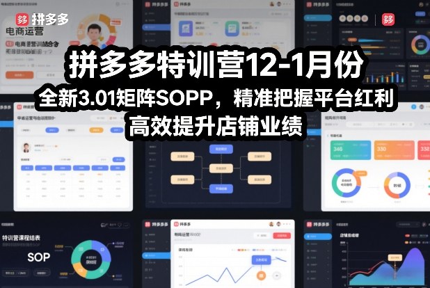 拼多多特训营12-1月份,全新3.01矩阵Sop,精准把握平台红利,高效提升店铺业绩-界海网创