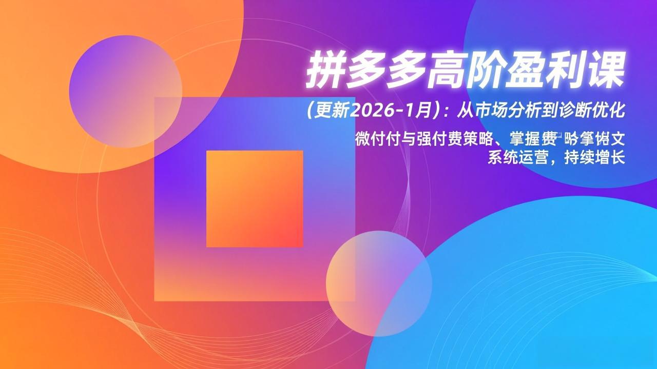 拼多多高阶盈利课(更新2026-1月-界海网创