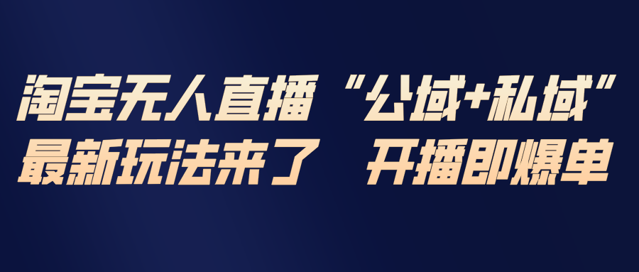 淘宝无人直播最新玩法,包含私域和公域两种玩法-界海网创