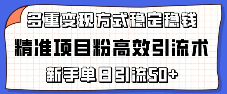 精准项目粉高效引流术,新手单日引流50+,多重变现方式稳定赚钱-界海网创