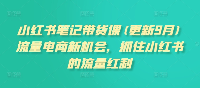 小红书笔记带货课(更新25年12月)流量电商新机会,抓住小红书的流量红利-界海网创