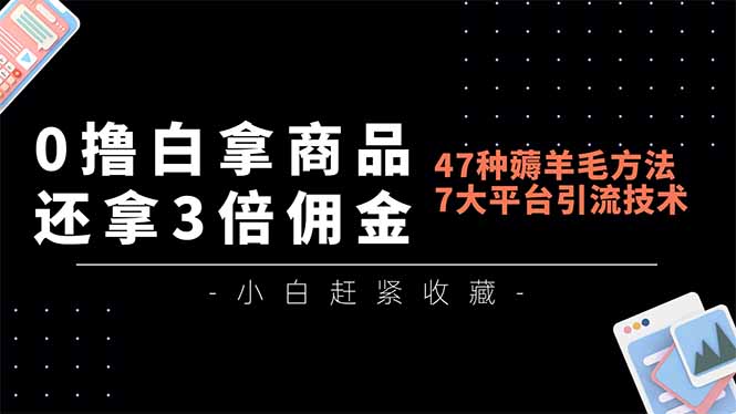 0撸白拿商品，还拿3倍佣金，47种薅羊毛方法，7大平台全方位引流技术教学，精专月入过万-界海网创
