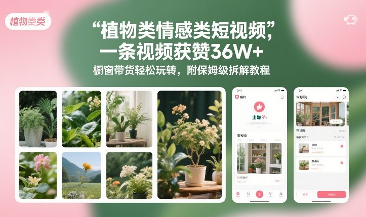 植物类情感类短视频,一条视频获赞36W+,橱窗带货轻松玩转,附保姆级拆解教程-界海网创