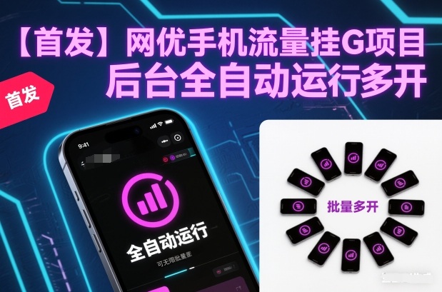 【首发】网优手机流量挂G项目，后台全自动运行，可无限批量多开【揭秘】-界海网创