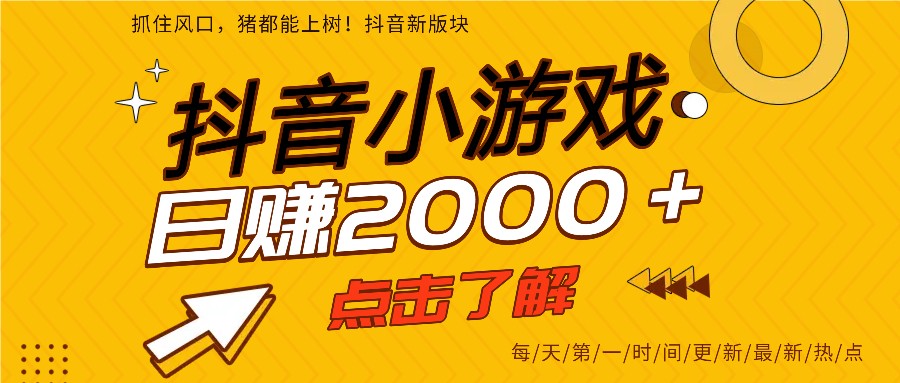 5年爆火的抖音小游戏项目，一部手机日入2000+-界海网创