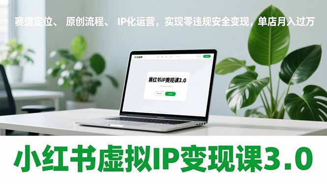 小红书虚拟IP变现课3.0,赛道定位、原创流程、IP化运营,实现零违规安全变现,单店月入过万-界海网创