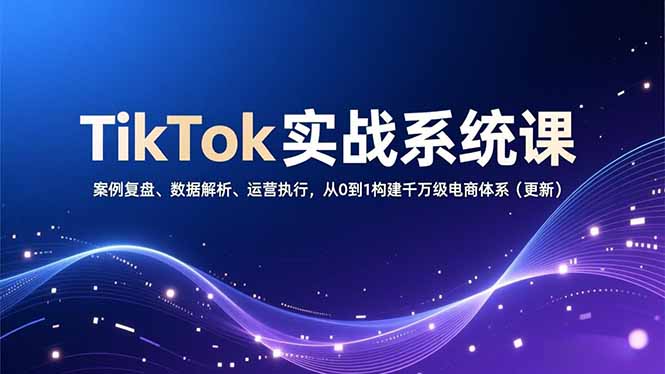 TikTok实战系统课,案例复盘、数据解析、运营执行,从0到1构建千万级电商体系(更新-界海网创