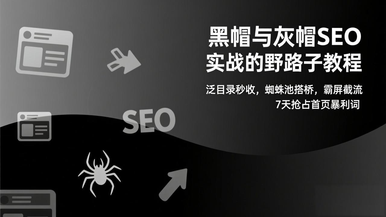黑帽与灰帽SEO实战的野路子教程:泛目录秒收,蜘蛛池搭桥,霸屏截流,7天抢占首页暴利词-界海网创