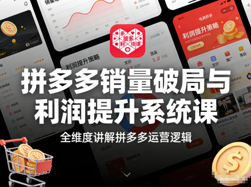 拼多多销量破局与利润提升系统课，全维度讲解拼多多运营逻辑-界海网创