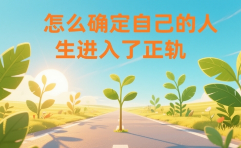 某公众号付费文章:怎么确定自己的人生进入了正轨?-界海网创