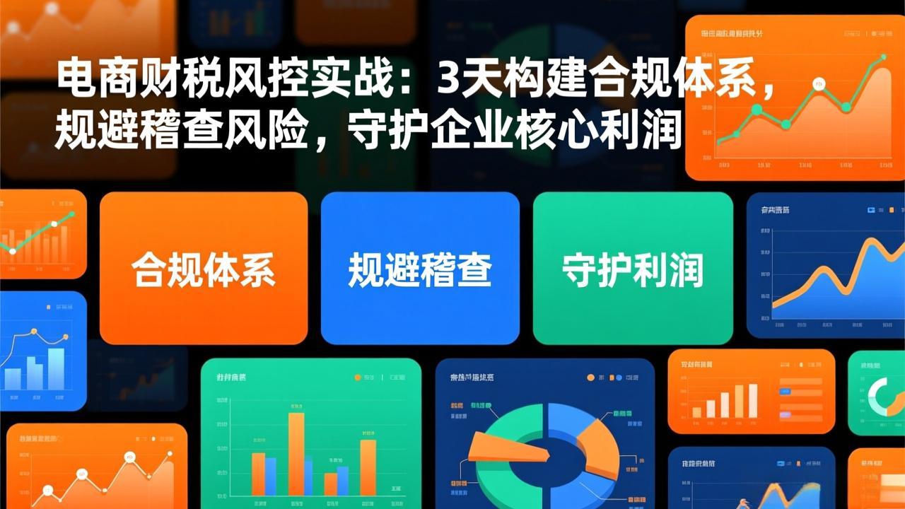电商财税风控实战:3天构建合规体系,规避稽查风险,守护企业核心利润-界海网创