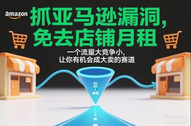 抓亚马逊漏洞，免去店铺月租，一个流量大竞争小，让你有机会成大卖的赛道-界海网创